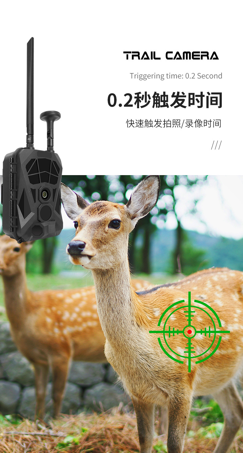 NEWCOM纽卡姆LTI800高清4G监测野外GPS定位相机1080户外外侦测夜视红外打猎相机-5